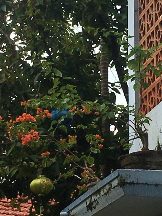 Cherry Garden Homestay Hoi An Exterior foto